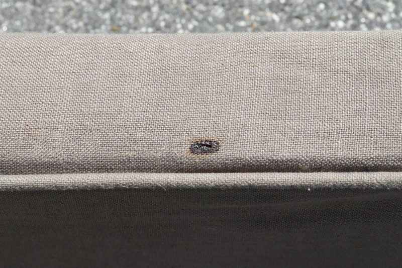 Contemporary Khaki Cotton Upholstered King Bed