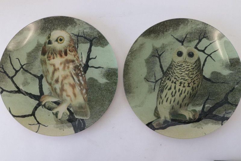 10 John Derian Glass Trays