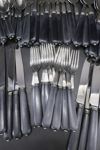 Brigitte's Cutlery for 12