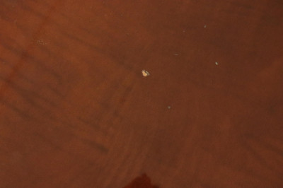 Barbara Barry for Baker Mahogany Ext. Dining Table