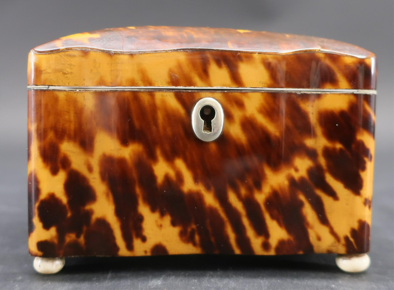 English Tortoise Shell Veneer Tea Caddy, 19th C.