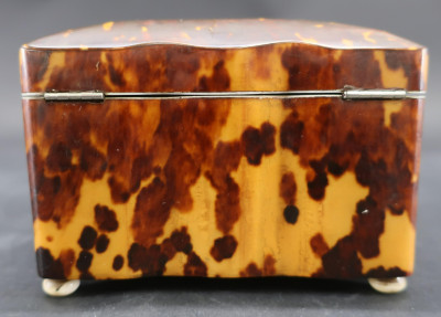English Tortoise Shell Veneer Tea Caddy, 19th C.