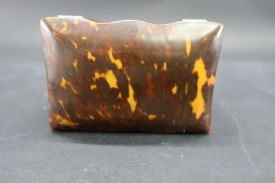 English Tortoise Shell Veneer Tea Caddy, 19th C.