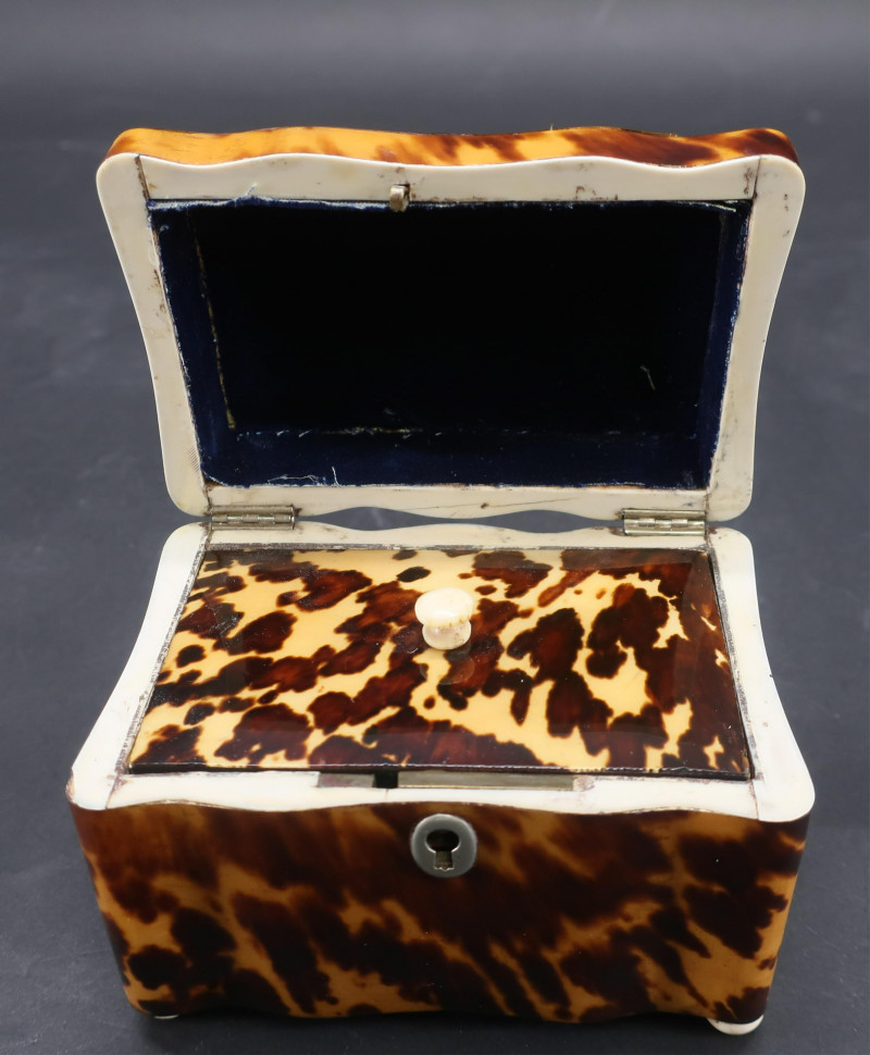 English Tortoise Shell Veneer Tea Caddy, 19th C.