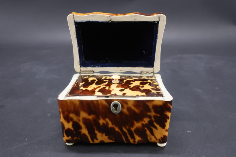English Tortoise Shell Veneer Tea Caddy, 19th C.