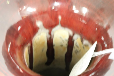 Two Sang De Boeuf Vases