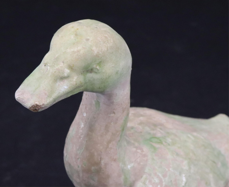 Tang Glazed Pottery Duck
