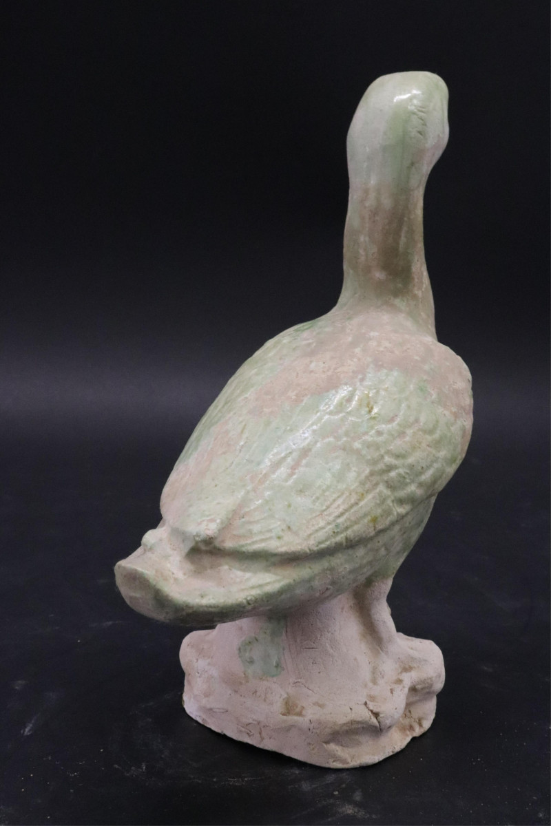 Tang Glazed Pottery Duck