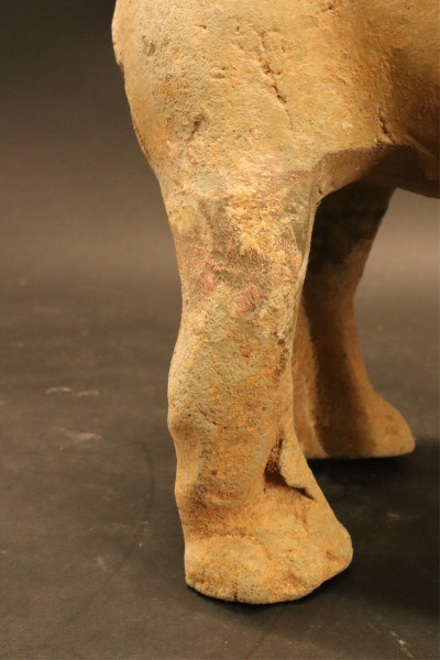 Three Han Dynasty Terracotta Standing Dogs