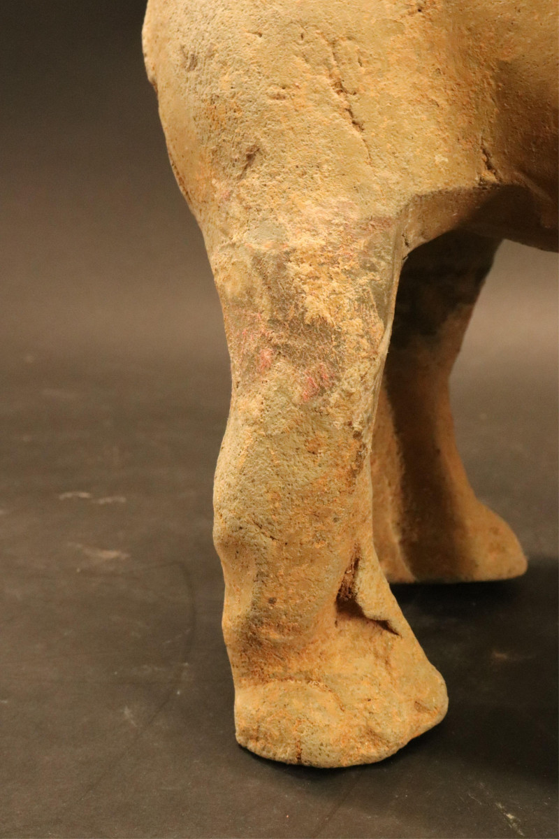 Three Han Dynasty Terracotta Standing Dogs