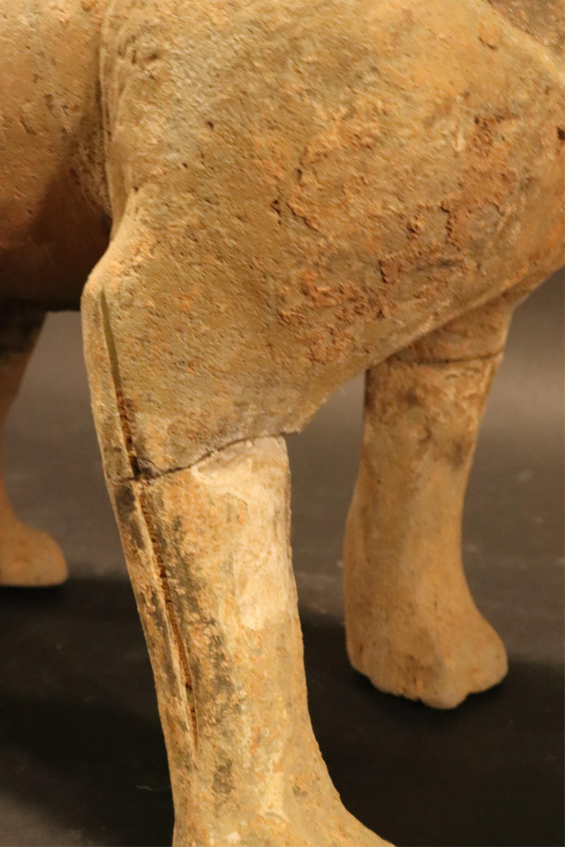 Three Han Dynasty Terracotta Standing Dogs
