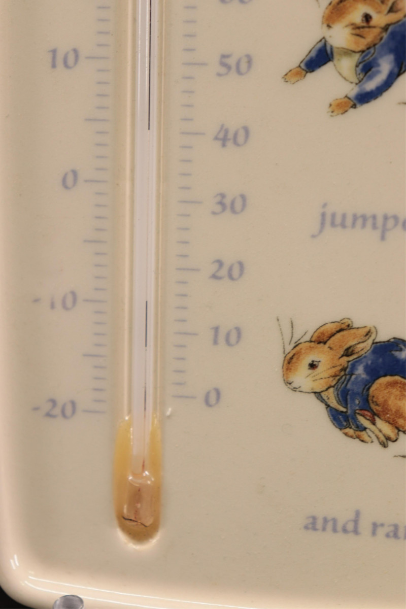 Collection of Beatrix Potter China by Wedgwood