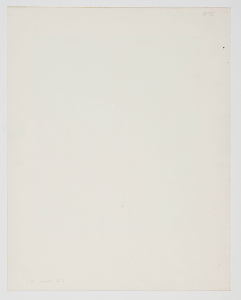 James Hilleary - Afterimage Series #12