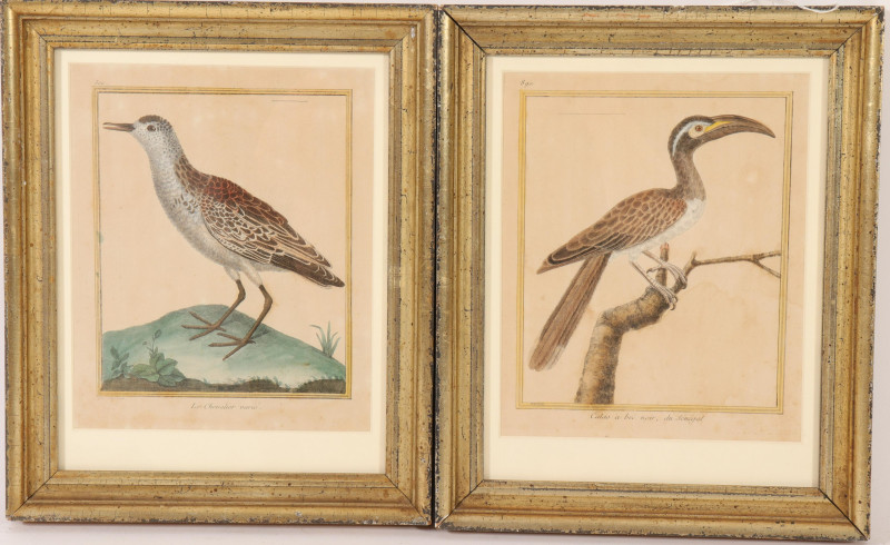 Pr Francois Martinet Birds, 18th C., col. Etching