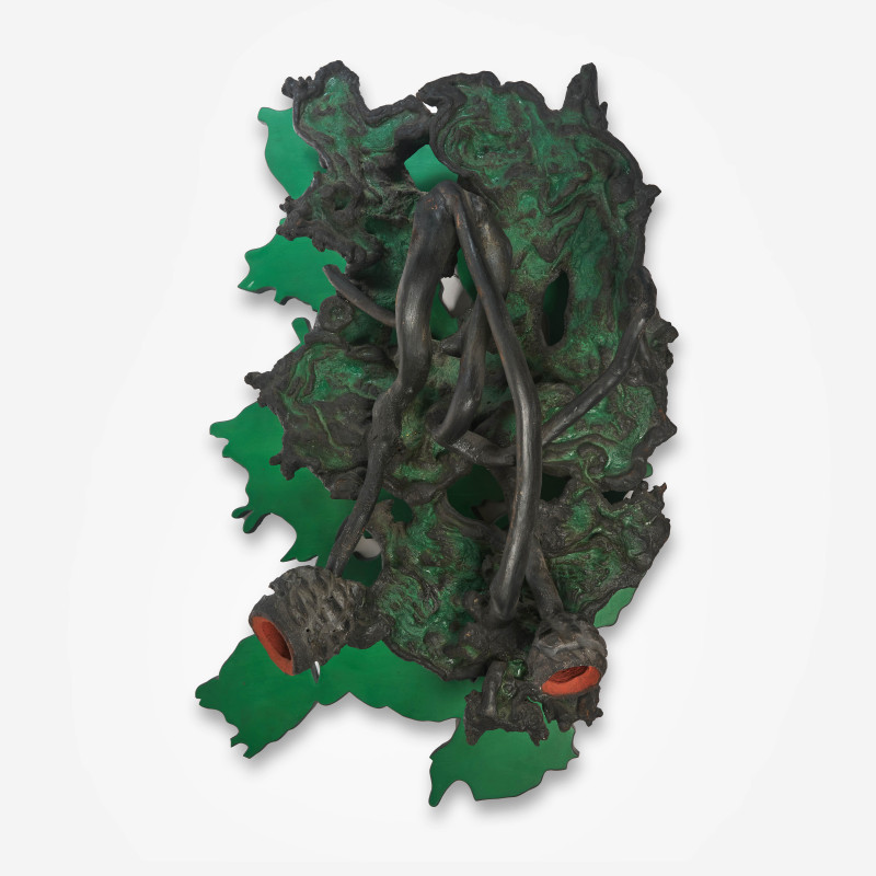 Frans Krajcberg - Sombra