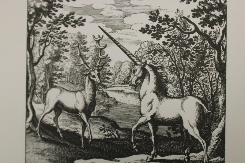 3 Volumes Illumination