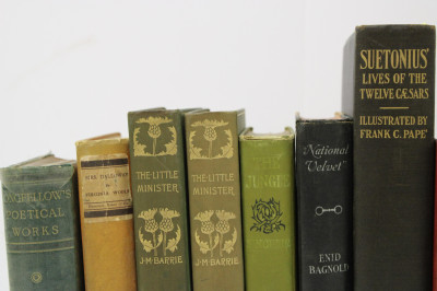 Large Lot of 19th/20th C. Bindings