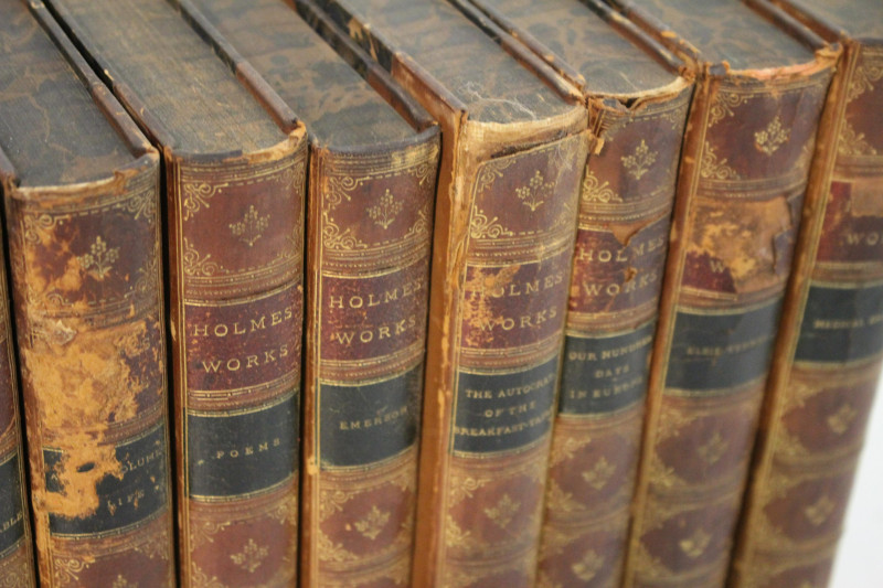 11 Volumes Holme&apos;s Works