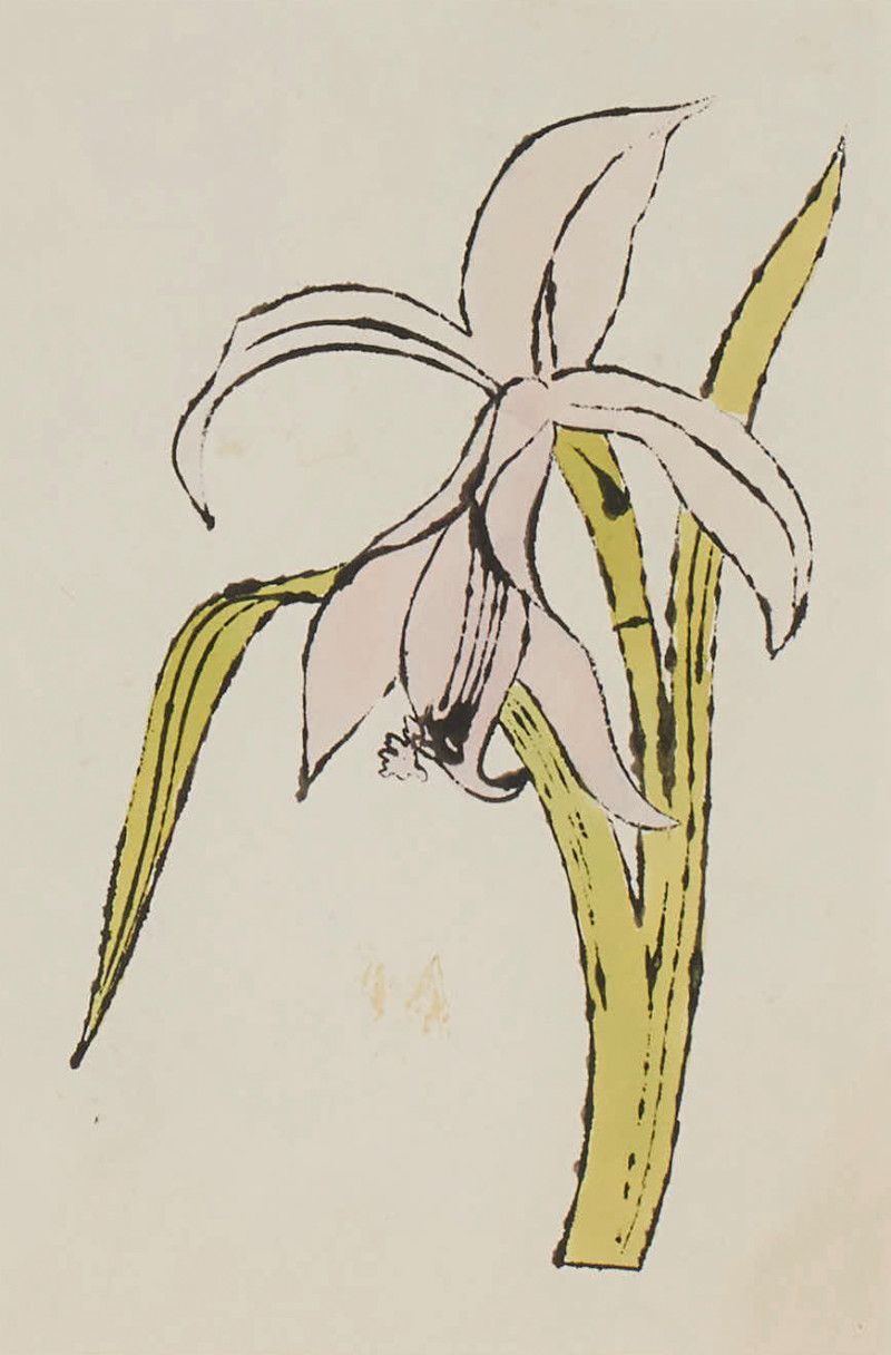 Andy Warhol - Still-Life (Flower)