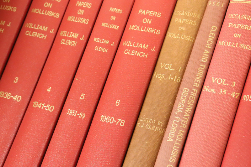 A Group of Works by W Clench