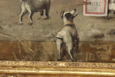 Pascori Dog Conference No Bossism Here