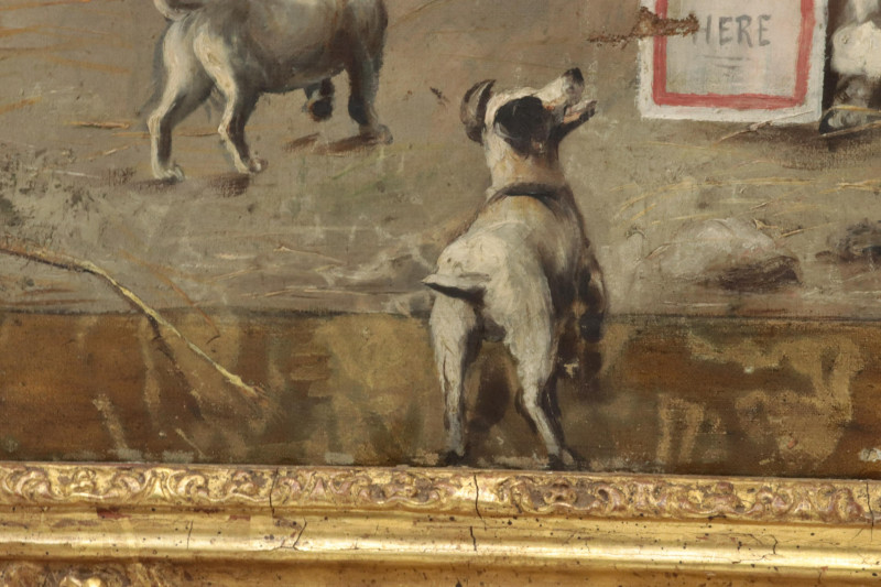 Pascori Dog Conference No Bossism Here