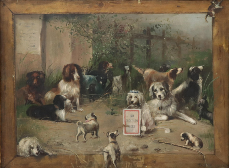 Pascori Dog Conference No Bossism Here