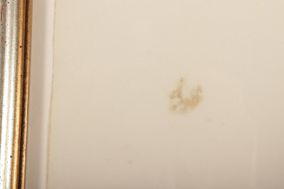 John J Audubon Prothonotary Warbler engraving