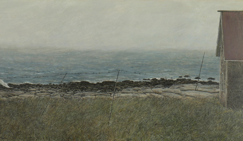 T D Forrestall On the Bay of Fundy