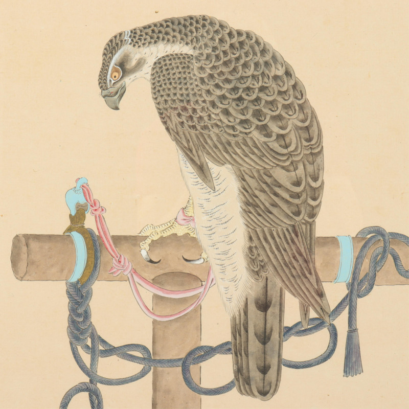 Birds of Prey Chinese Watercolors