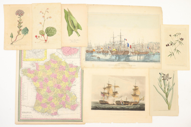 18th19th C Botanical and Nautical prints