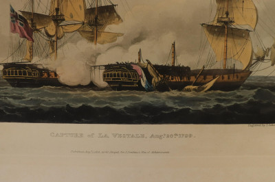 18th19th C Botanical and Nautical prints