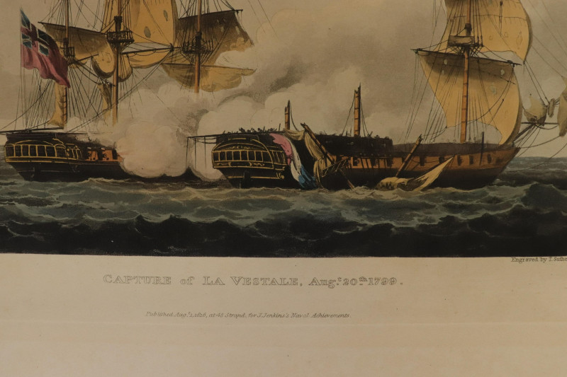 18th19th C Botanical and Nautical prints