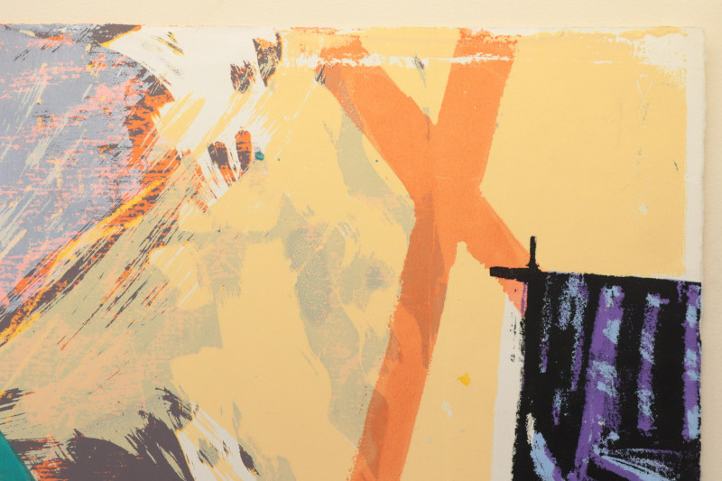 Cecile Broz (b1959)&apos;Flying Fish Banner&apos; Serigraph