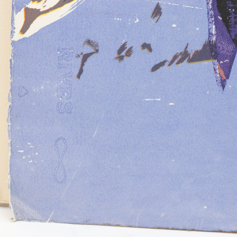 Cecile Broz (b1959)&apos;Flying Fish Banner&apos; Serigraph