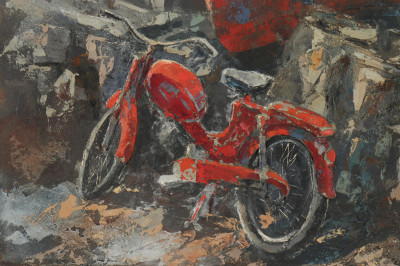 David Rawrday Boat Bike Contemporary MM