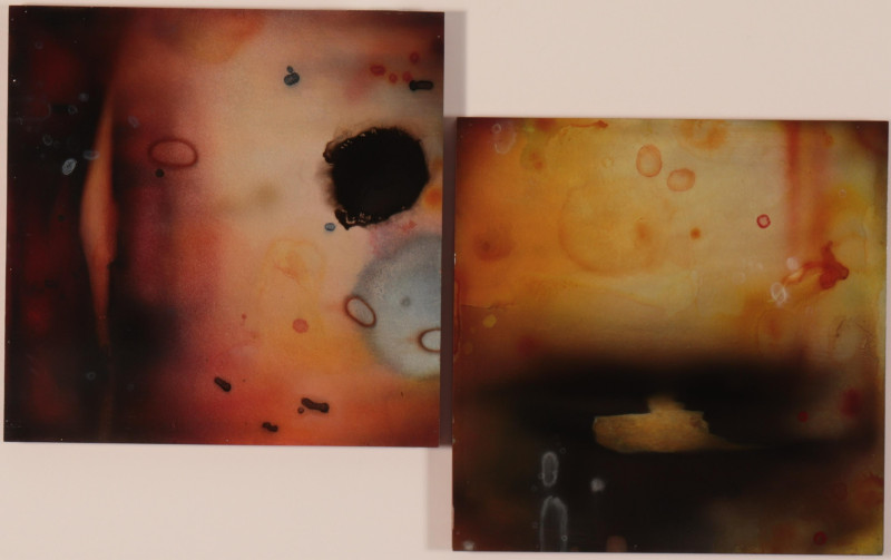 Michael Brown Abstract Diptych paint on board