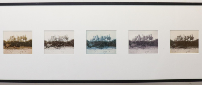 Nadine Miller Beach Photographs