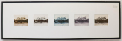 Nadine Miller Beach Photographs