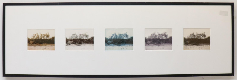 Nadine Miller Beach Photographs