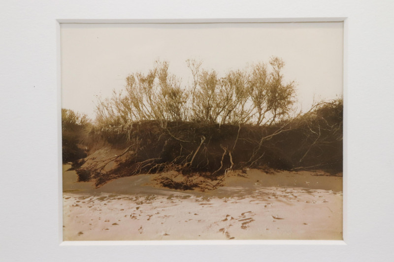 Nadine Miller Beach Photographs