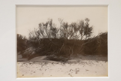 Nadine Miller Beach Photographs