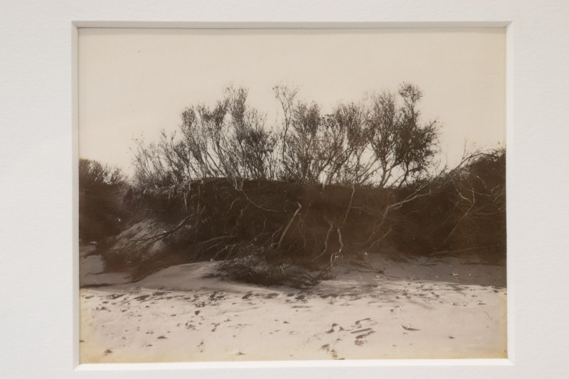 Nadine Miller Beach Photographs
