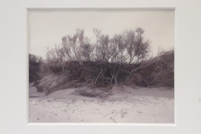 Nadine Miller Beach Photographs