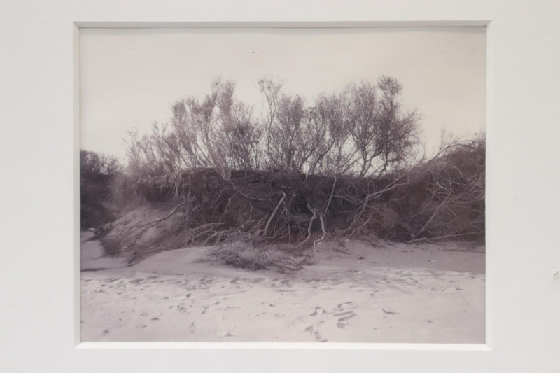 Nadine Miller Beach Photographs
