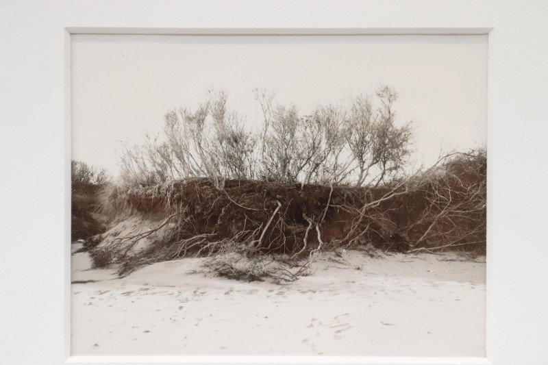 Nadine Miller Beach Photographs