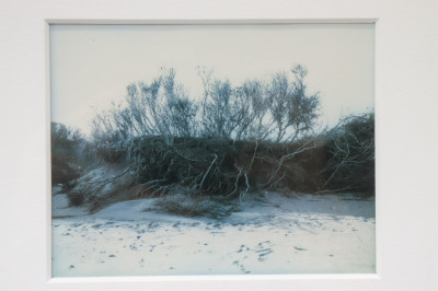 Nadine Miller Beach Photographs