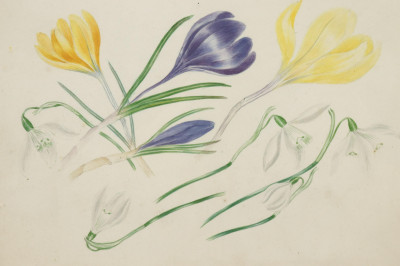 5 Floral Reverse Paintings W/C Pastels