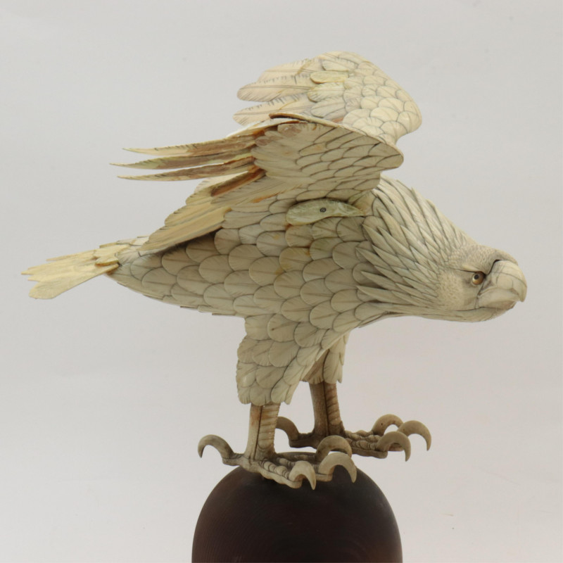 American Eagle with Outspread Wings