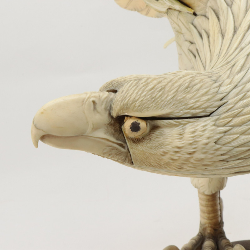 American Eagle with Outspread Wings
